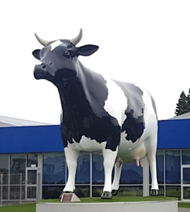 Cow