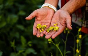 2503 hands and flowers swastik arora unsplash